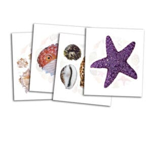 Shell ID cards