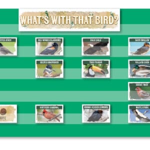 Game Kit: What's With That Bird?