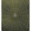 Nature Posters, set of 13 - Image 5