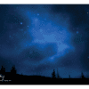 Nature Posters, set of 13 - Image 6
