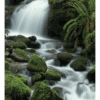 Nature Posters, set of 13 - Image 10