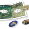 Incentive Stickers Set: Voyage of Discovery booklet - Image 3